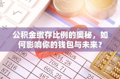 铜鼓公积金缴存比例的奥秘，如何影响你的钱包与未来？