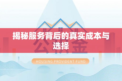 铜鼓揭秘服务背后的真实成本与选择