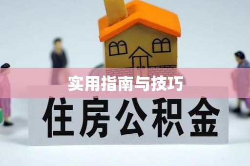 铜鼓实用指南与技巧