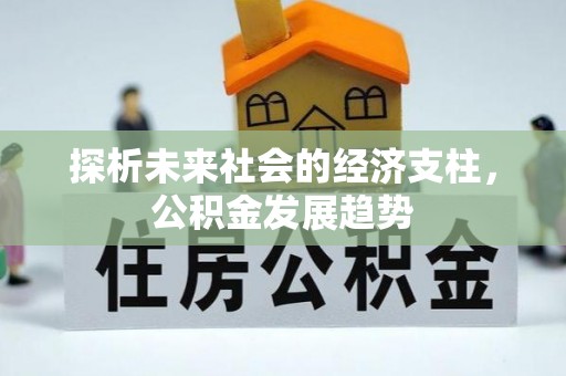 铜鼓探析未来社会的经济支柱，公积金发展趋势