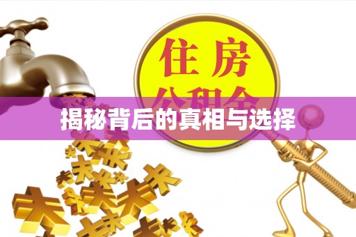 铜鼓揭秘背后的真相与选择