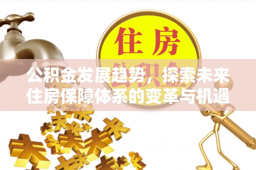 铜鼓公积金发展趋势，探索未来住房保障体系的变革与机遇