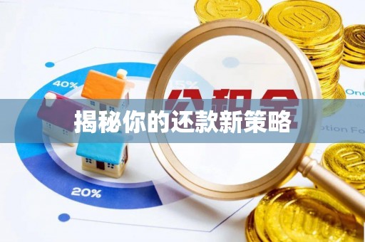 铜鼓揭秘你的还款新策略
