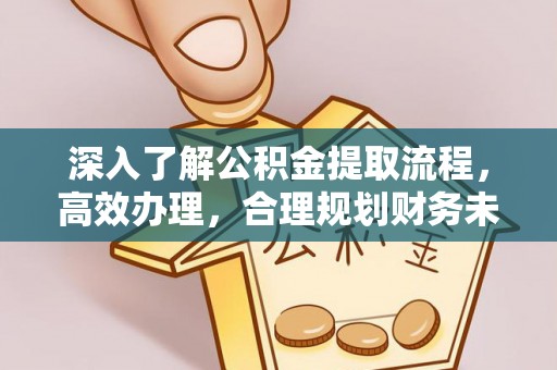 铜鼓深入了解公积金提取流程，高效办理，合理规划财务未来