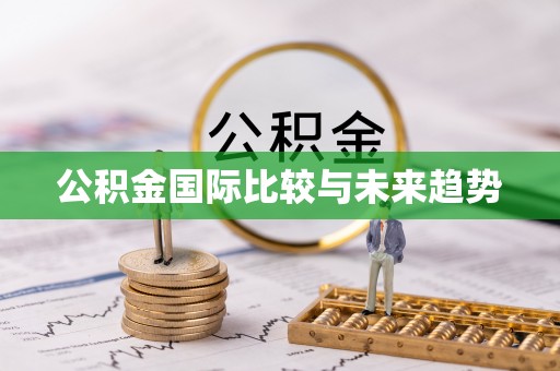 铜鼓公积金国际比较与未来趋势