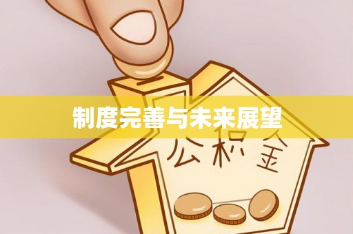 铜鼓制度完善与未来展望