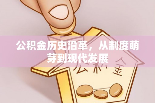 铜鼓公积金历史沿革，从制度萌芽到现代发展