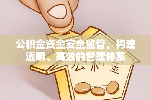 铜鼓公积金资金安全监管，构建透明、高效的管理体系