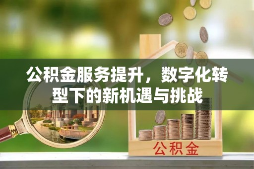 铜鼓公积金服务提升，数字化转型下的新机遇与挑战