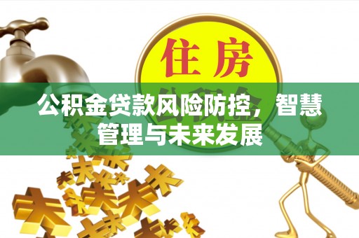 铜鼓公积金贷款风险防控，智慧管理与未来发展