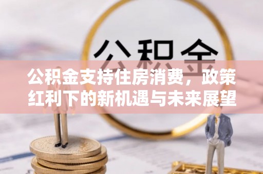 铜鼓公积金支持住房消费，政策红利下的新机遇与未来展望
