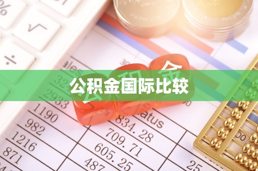 铜鼓公积金国际比较