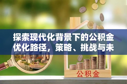 铜鼓探索现代化背景下的公积金优化路径，策略、挑战与未来展望