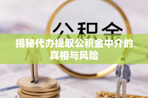 铜鼓揭秘代办提取公积金中介的真相与风险