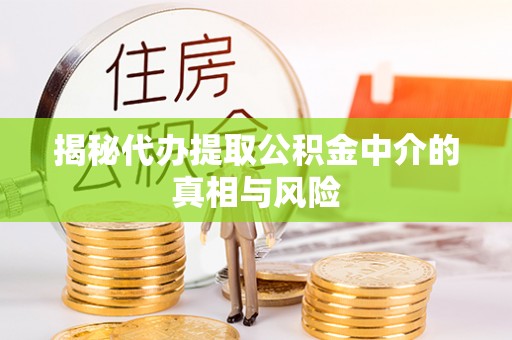 铜鼓揭秘代办提取公积金中介的真相与风险