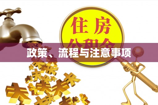 铜鼓政策、流程与注意事项