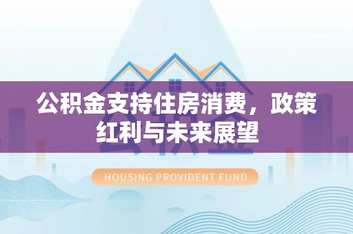 铜鼓公积金支持住房消费，政策红利与未来展望