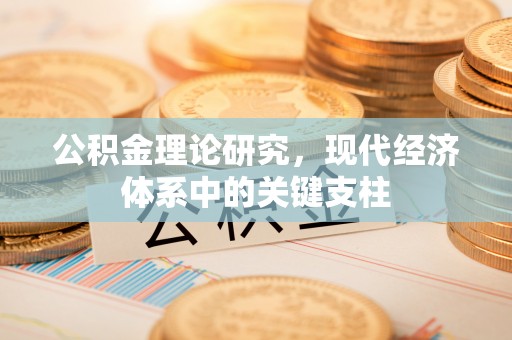 铜鼓公积金理论研究，现代经济体系中的关键支柱