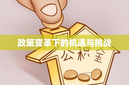 铜鼓政策变革下的机遇与挑战