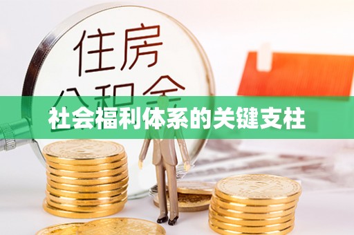 铜鼓社会福利体系的关键支柱