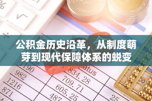 铜鼓公积金历史沿革，从制度萌芽到现代保障体系的蜕变
