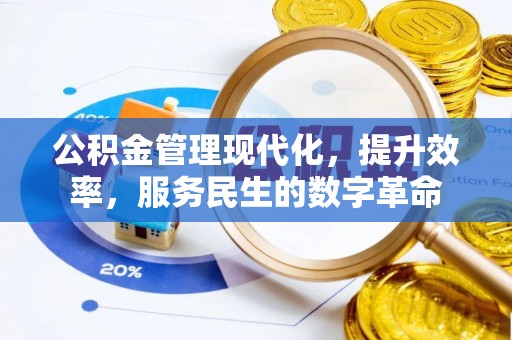 铜鼓公积金管理现代化，提升效率，服务民生的数字革命
