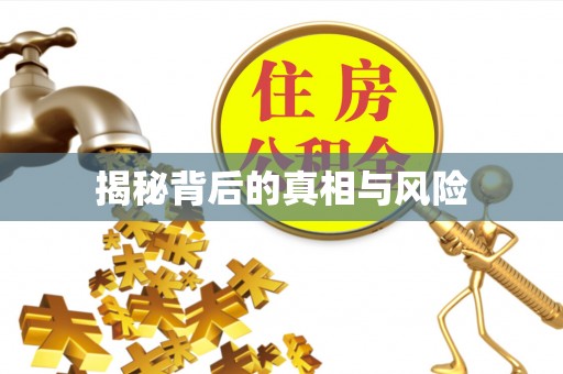 铜鼓揭秘背后的真相与风险