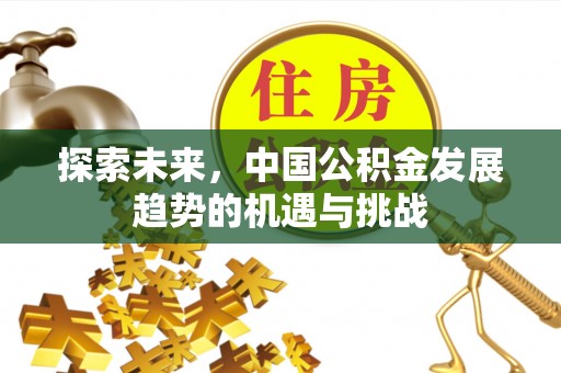 铜鼓探索未来，中国公积金发展趋势的机遇与挑战