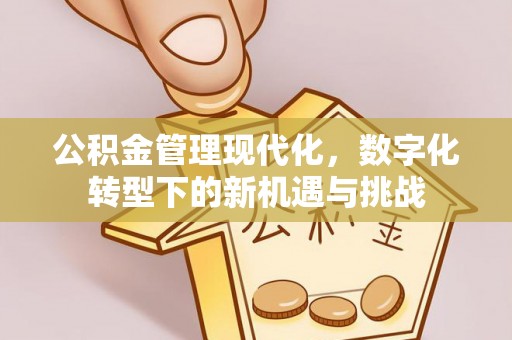 铜鼓公积金管理现代化，数字化转型下的新机遇与挑战
