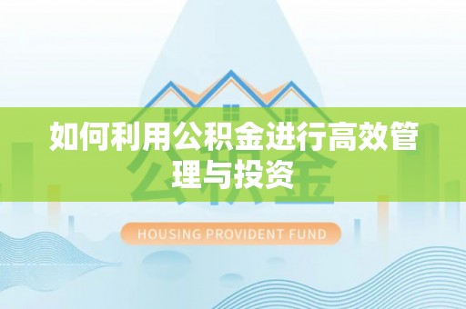 铜鼓如何利用公积金进行高效管理与投资