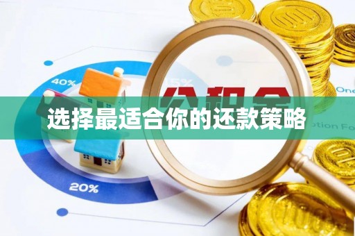 铜鼓选择最适合你的还款策略
